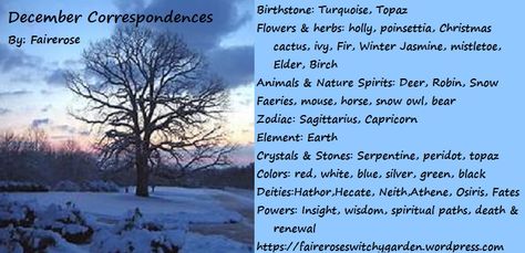 December Correspondences, December Witchcraft, Witchy Calendar, December Full Moon, Moon Gemini, Last Month Of The Year, Capricorn Element, Witchy Garden, Winter Jasmine