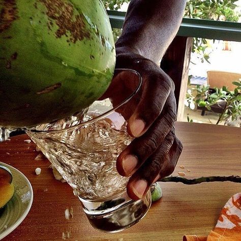 @nativeeros shared a photo on Instagram: ��“I need someone to bring me coconut water & fresh fruit...right now.” • Apr 2, 2018 at 2:36pm UTC Coconut Aesthetic, Island Vibes, Island Girl, Summer Feeling, Summer Dream, Summer Breeze, Island Life, Coconut Water, Summer Aesthetic