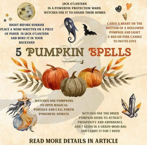 Blessed Samhain, Kitchen Witch Recipes, Witchcraft Herbs, Samhain Halloween, Magic Spell Book, Witchcraft Spell Books, Witch Spell Book, Hedge Witch, Baby Witch