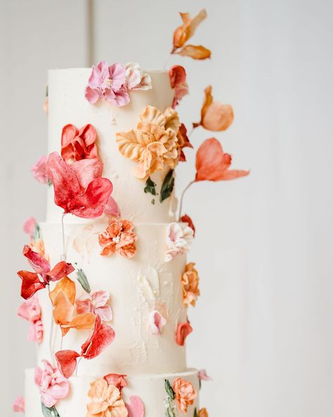 A stunning sunset colour palette for this buttercream floral cake at the lovely Millbridge Court earlier this year. Such a fab team to work with, lots of fun and so much vibrancy and colour - loved it! Concept, Photos & Film @lydia.stamps Concept, Styling, Stationery & Signage @lulabee Flowers & Vessels @dorsetflowers Venue @millbridgecourt HMUA @clairejanes.bridalteam Models @modelling_with_the_morrisons Content Creator @weddingstorytellerco Dresses @bridalindulgence Accessories @v... Sunset Wedding Cake, Sunset Colour Palette, Sunset Color Palette, Sunset Palette, Concept Photos, Sunset Wedding, Floral Cake, Sunset Colors, Colour Palette