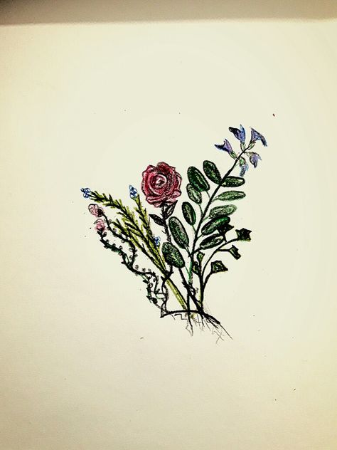 Tattoo sketch, Parsley sage rosemary and thyme, there is no rose grows fairer with time. "Scarborough fair" Sage Tattoo, Parsley Sage Rosemary And Thyme, Rosemary And Thyme, Scarborough Fair, Tattoo Sketch, Growing Roses, Rose Tattoos, Body Mods, Tattoo Sketches