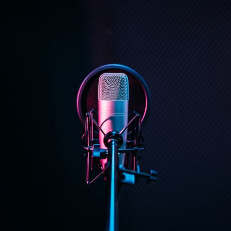 Studio Microphone, Vertical Landscape, Percy Jackson Memes, Art Gallery Wallpaper, Music Business, Canvas Designs, Recording Studio, Poster Size, Art Music