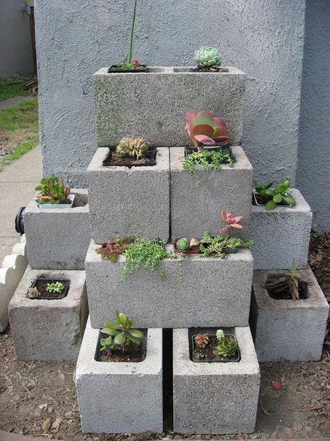 Cinder blocks flower pot planter | Sheknows.com Cinder Block Garden, Cement Blocks, Cement Planters, Pepper Plants, Planter Ideas, Cinder Block, Have Inspiration, Budget Backyard, Growing Herbs