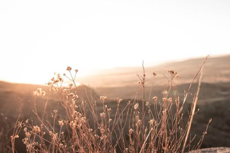 Light Brown Aesthetic Landscape, Horizontal Nature Aesthetic, Beige Aesthetic Horizontal, Brown Aesthetic Horizontal, Brown Aesthetic Landscape, Boho Facebook Cover Photos, Brown Cover Photo, Beige Mood Board, Fb Background