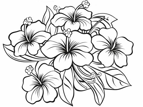 illustration of Discover peace through Hawaiian blooms Hawaiian Flower Sketch, Hawaiin Flowers Drawings, Hibiscus Coloring Page, Aloha Coloring Pages, Hawaiian Flower Coloring Pages, Mandala Turtle, Coloring Page For Adults, Flowers Coloring, Beach Flowers