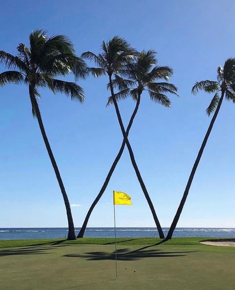 Hawaii #SonyOpen Golf Course Aesthetic, Golf Pics, Course Design, Aesthetic Retro, Island Paradise, Kauai, Blue Aesthetic, Golf Course, Golf Courses