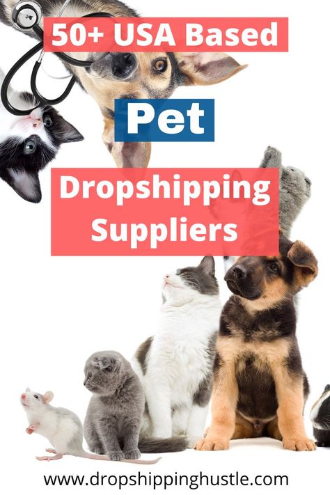 A complete list of pet suppliers in the US that dropship. This article is a must read if you plan to start a dropshipping business in the US selling pet supplies. Dropshipping Suppliers, Sleep On The Floor, Dog Business, Pet Businesses, Drop Shipping Business, Profitable Online Business, List Of Animals, Free Dogs, Shipping Supplies