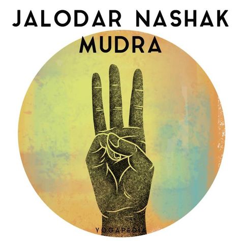 Yogapedia on Instagram: “Jalodar nashak mudra is a yogic gesture designed to heal by promoting the balance of water in the body. It is one of a series of…” Shiva Yoga, Hand Mudras, Yoga Symbols, Yoga Hands, Spiritual Yoga, Yoga Mantras, Acro Yoga, Yoga Art, Kundalini Yoga