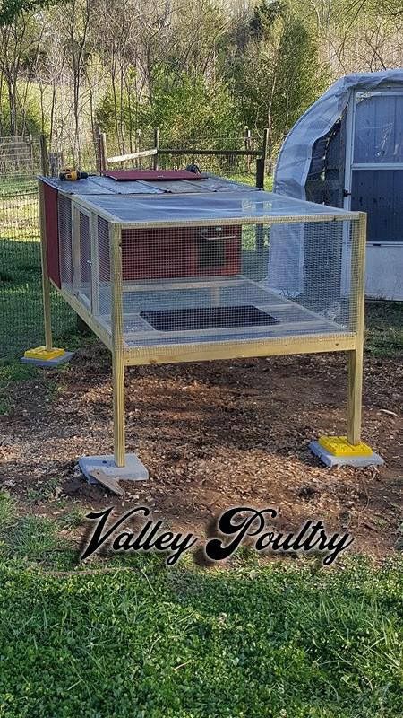 Duck Coop Flooring Ideas, Call Duck Pen, Pet Ducks Outdoor House, Diy Pallet Duck Coop, Dog House Duck Coop, Duck Pens, Quail Coop, Backyard Ducks, Meat Rabbits