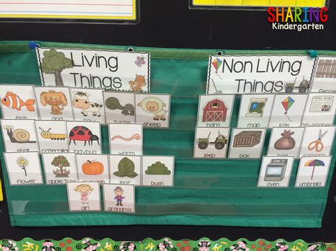 https://www.teacherspayteachers.com/Product/Living-Non-Living-Print-Play-Pack-1424371 Living Non Living Kindergarten, Living And Non Living Things Chart, Living Things And Non Living Things Kids, Living And Nonliving Kindergarten, Living And Non Living Things Project, Living Things And Non Living Things, Non Living Things, Concrete Objects, Pre-k Science