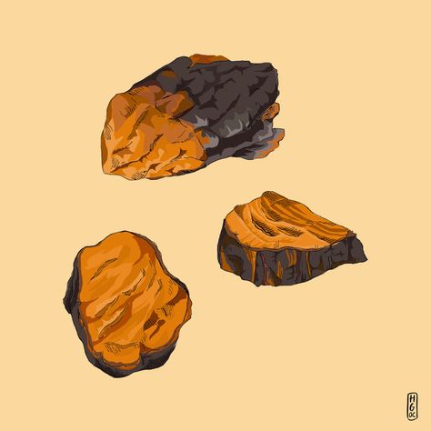 History, Uses and Benefits of Chaga Mushroom Chaga Mushroom Benefits, Lions Mane Benefits, Lower Sugar Levels, Mushroom Benefits, Chaga Mushroom, Food Mood, Fiber Rich Foods, Sugar Level, Blood Glucose Levels