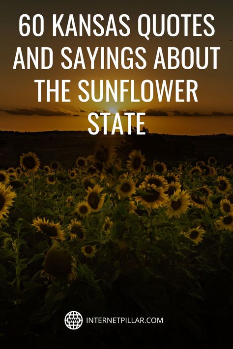 60 Kansas Quotes and Sayings about The Sunflower State - #quotes #bestquotes #dailyquotes #sayings #captions #famousquotes #deepquotes #powerfulquotes #lifequotes #inspiration #motivation #internetpillar Midwest Region, Magic Land, The Good Witch, The Sunflower, Native American Tribes, Sunset Quotes, Best Motivational Quotes, Meaning Of Life, The Union