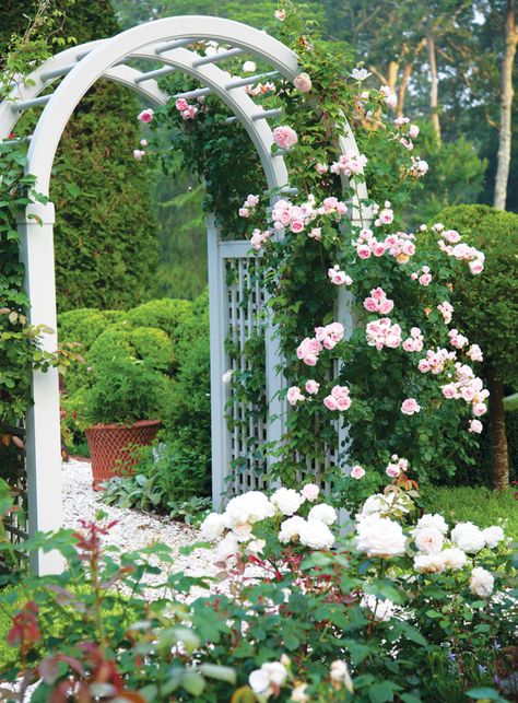 Tips for Enjoying Your Garden - Colorado Homes & Lifestyles Hampton Garden, Garden Archway, Country Cottage Garden, Rose Garden Design, Moss Garden, Beautiful Flowers Garden, Garden Tours, Climbing Roses, Country Garden