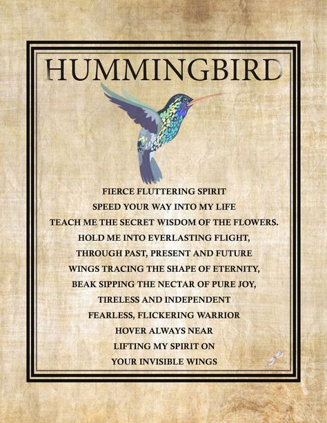 Spiritual: Hummingbird Prayer Poster

The hummingbird has historically symbolized the enjoyment of life and lightness of being. Those who have the hummingbird as a totem are invited to enjoy the sweetness of life, lift up negativity wherever it creeps in and express love more fully in their daily endeavors.

Black frame is 11in x 14in with white matte. Poster can be purchase separately. Hummingbird Meaning Spiritual, Hummingbird Poem, Hummingbird Spiritual Meaning, Hummingbird Totem, Hummingbird Quotes, Hummingbird Meaning, Vijay Quotes, Hummingbird Symbolism, Prayer Poster