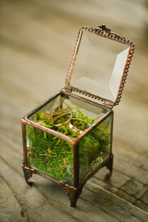 Cafe Brauer, Ring Box Wedding Rustic, Moss Wedding, Vintage Ring Box, Rustic Wedding Rings, Moss Decor, Nature Inspired Wedding, Enchanted Forest Wedding, Viking Wedding