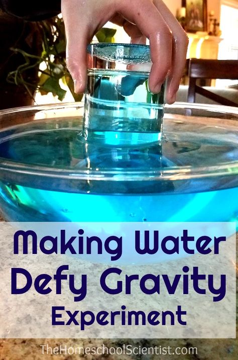 Water Absorption Experiment, Gravity Experiments Middle School, Gravity Preschool Activities, Gravity Experiments For Preschool, Gravity Activities For Preschool, Gravity Stem Activities, Gravity Science Experiments For Kids, Gravity Activities For Kids, Gravity Experiments For Kids