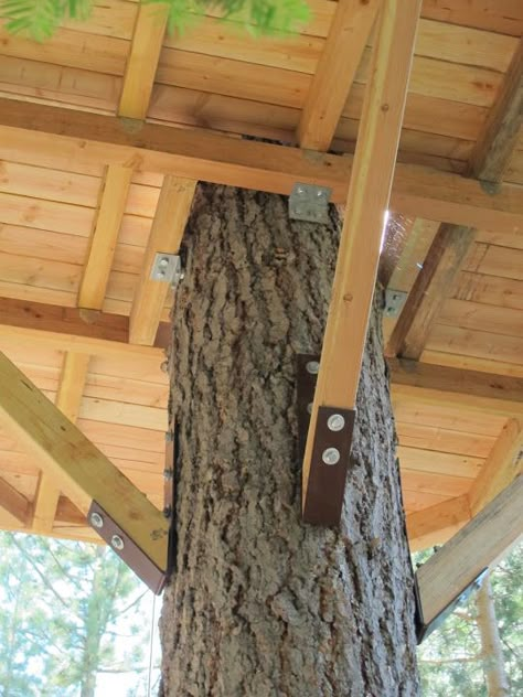 The Tree House Floor – tzrider Simple Tree House, Tre Kunst, Beautiful Tree Houses, Building A Treehouse, Tree House Plans, Tree Fort, Floor Boards, Tree House Diy, House Tree