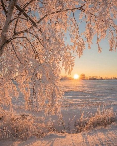 Winter Sunset, Morning Sunrise, Winter Photos, Winter Mornings, Paradise Island, Winter Pictures, Winter Aesthetic, Winter Scenes, Winter Time