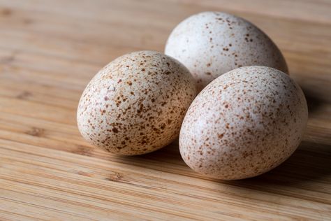 Turkey Eggs, Storing Eggs, Ways To Cook Eggs, Types Of Eggs, Turkey Wraps, Fresh Turkey, Backyard Poultry, Farm Eggs, Eating Eggs