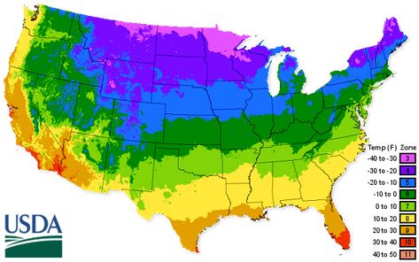 USDA Zone Specific Planting Guide & More – Mary's Heirloom Seeds Garden Zones Map, Seed Planting Guide, Garden Zones, Vegetable Planting Guide, Watermelon Plant, Plant Hardiness Zone Map, Planting Guide, Zone 10, Plant Zones