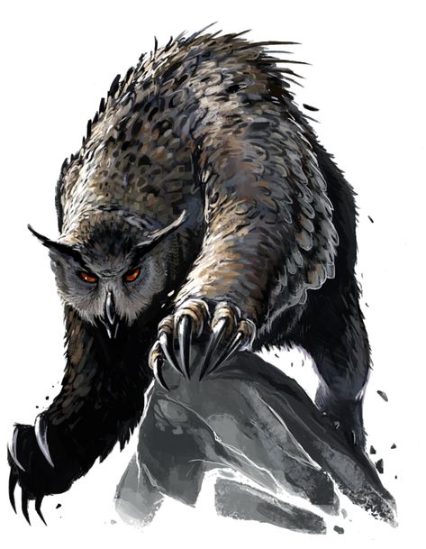 Owl Bear Art, Owl Dragon Hybrid, Fantasy Owl Creature, Owl Creature Design, Owl Bear Dnd, Owlbear Art, Bear Concept Art, Owl Hybrid, Creatures Rpg