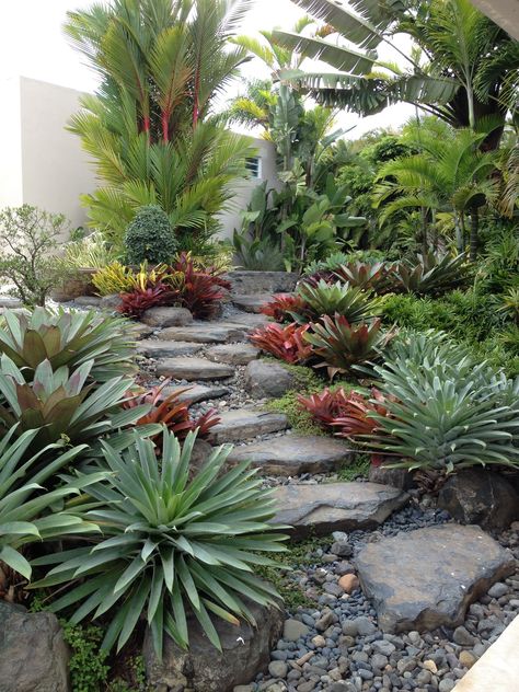 Slope Garden, Tropical Landscape Design, Succulent Landscape Design, Tropical Garden Design, Succulent Landscaping, Desert Landscapes, Backyard Garden Landscape, Rock Garden Landscaping, Desert Garden