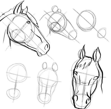 Horse Face Drawing, Horse Drawing Tutorial, Horse Head Drawing, Horse Art Drawing, Pencil Drawings For Beginners, Horse Sketch, Horse Drawings, Horse Drawing, Easy Drawings Sketches