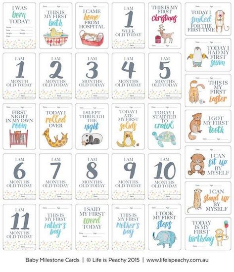 Precious Memories: Baby Milestone Cards Diy Milestone Cards, Baby Milestone Chart, Baby Books Diy, Postpartum Care Kit, Newborn Schedule, Milestone Stickers, Baby Memory Book, Baby Milestone Cards, Baby Journal