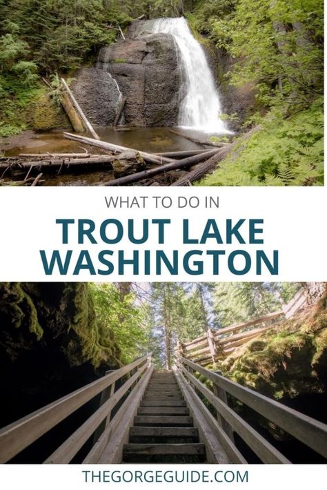 Fun things to do in Trout Lake WA - The Gorge Guide Trout Lake Washington, Mt Adams Washington, Gifford Pinchot National Forest, Washington Trip, Washington State Hikes, Washington State Travel, Trout Lake, Ice Caves, Washington Hikes