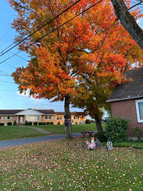 Fall Neighborhood, Halloween Neighborhood, Leaves Falling, Fall Trees, Autumn Scenes, Fotografi Alam Semula Jadi, Autumn Nature, Fall Inspo, Season Of The Witch