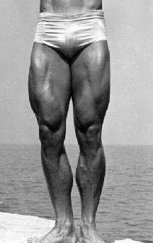 Steve Reeves Workout - Old School Aesthetics Steve Reeves Workout, Get Bigger Arms, School Aesthetics, Standing Calf Raise, Hanging Leg Raises, Steve Reeves, Preacher Curls, Body Builders, Biceps And Triceps