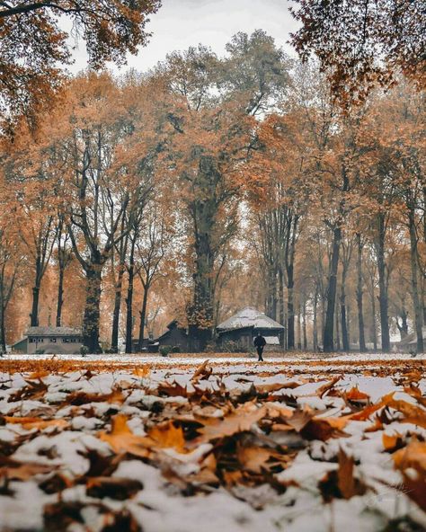 Kashmir Winter Photography, Kashmir Pics, Kashmir Travel, November Pictures, Kashmir Photos, Weather Wallpaper, Pakistan Beauty, Town Photography, Beautiful Screensavers