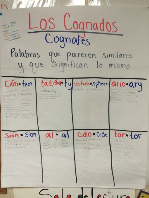 Los Cognados. Students look to find new cognate patterns. If it works for at least 3 different words they write it on a sticky note for me to check. If it works we add the pattern in marker to a new square. Throughout the day during independent time, if students notice a cognate that follows one of the patterns they come up and add it to the chart. Cognados Anchor Chart, Cognates Spanish English Anchor Chart, Spanish Phonics, Spanish Immersion Classroom, Spanish Teacher Classroom, Spanish Language Arts, Spanish Classroom Activities, Social Skills Lessons, Language Classroom