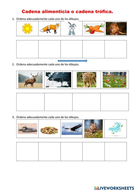 Ficha interactiva de Cadena alimenticia para 2º 3º. Puedes hacer los ejercicios online o descargar la ficha como pdf. Spanish Teaching Resources, Food Chain, Teaching Spanish, School Subjects, Kindergarten Math, Science, Not Found, Animals