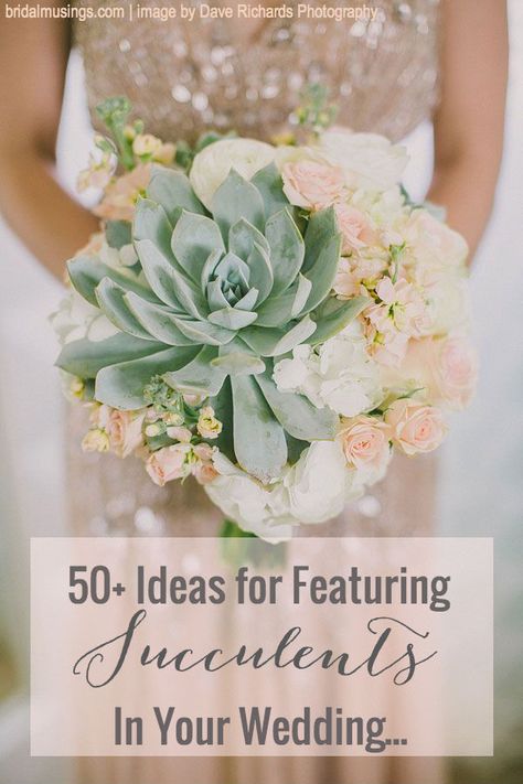 Succulent Wedding Table, Succulent Wedding Decor, Succulent Wedding Centerpieces, Succulent Wedding Invitations, Succulent Bouquet Wedding, Succulent Centerpieces, Succulent Wedding, Bridal Musings, Wedding Chicks