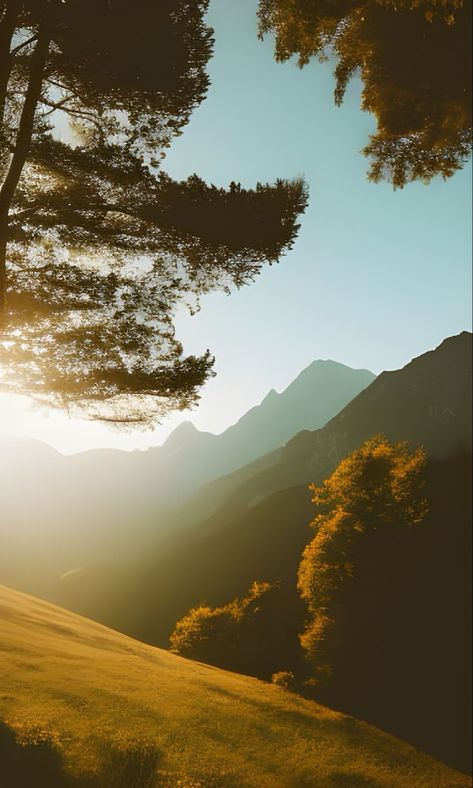 Shadow Landscape, Canada Mountains, Forest Travel, Tree Mountain, Sun Aesthetic, Mountain Pictures, Phone Background Patterns, Mountain Lover, Red Sunset