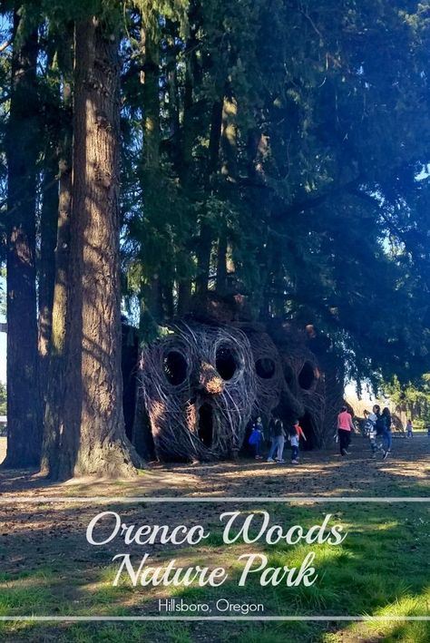 Orenco Woods Nature Park {Hillsboro, Oregon} | The Good Hearted Woman Twig People, Outdoor Nature Activities, Rv House, Oregon Adventures, Fairy Ball, Hillsboro Oregon, Oregon Trip, Pacific Northwest Travel, Oregon Life