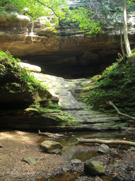 Cave Aesthetic Forest, Cat Den, Warrior Cats Clans, Cat Medicine, Shawnee National Forest, Camping With Cats, Cave Entrance, Natural Cave, We Were There