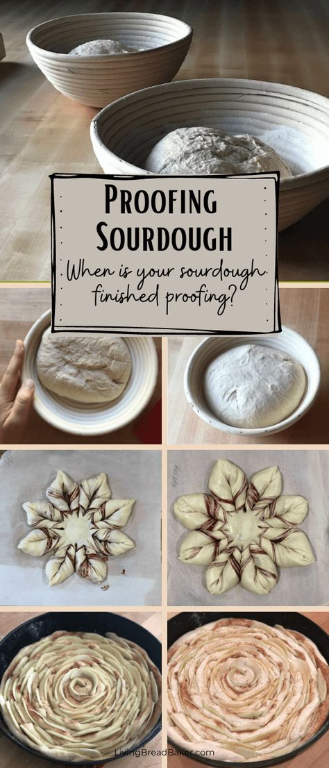 When is sourdough finished proofing? The signs and a test - Living Bread Baker Sourdough Proofing Chart, Proofed Sourdough, Sourdough Bread Sandwiches, Japanese Bread, Proofing Baskets, Baking Fun, Dough Recipes, Types Of Flour, Sour Dough