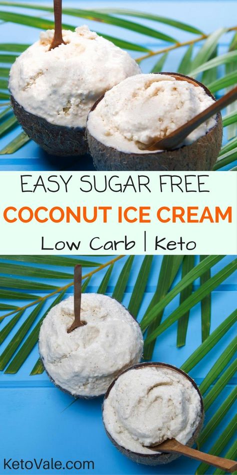 Nutrious Foods, Triglycerides Diet, Keto Staples, Natural Desserts, Coconut Ice Cream Recipes, Modern Cooking, Desserts Keto, Low Carb Ice Cream, Keto Lasagna