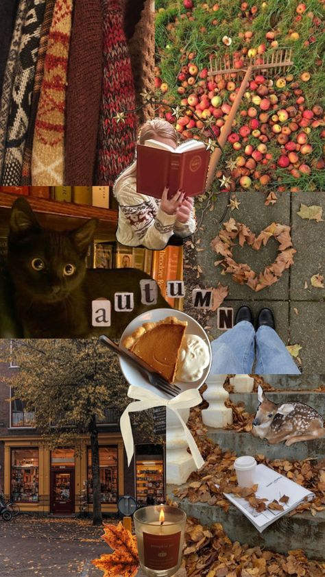 October Lockscreen, Autumn Collage, Gilmore Girls Seasons, Fall Mood Board, Autumn In New York, Fun Fall Activities, Friends Wallpaper, Edgy Wallpaper, Season Of The Witch