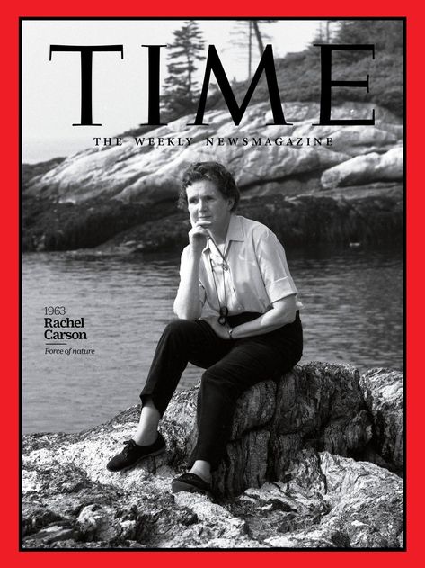 100 Women of the Year, TIME’s list of the most influential women of the past century, and it's Rachel Carson. Stem Academia, Feminine Genius, Stem Women, Silent Spring, Rachel Carson, Children Praying, Influential Women, Unsung Hero, Time Magazine