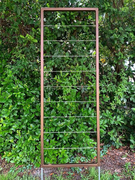 Trellis Metal, Wall Mounted Trellis, Steel Trellis, Modern Trellis Design, Tall Trellis, Metal Garden Trellis, Vine Trellis, Wall Trellis, Flower Trellis