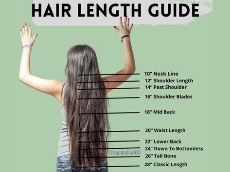 Hair Length Chart Curly, Different Hair Lengths Chart Haircuts, Curly Hair Length Chart, Haircut Lengths Chart, Haircuts For Long Hair Names, Waist Length Haircut, Curly Hair Number Chart, Waist Length Curly Hair, Waist Length Natural Hair