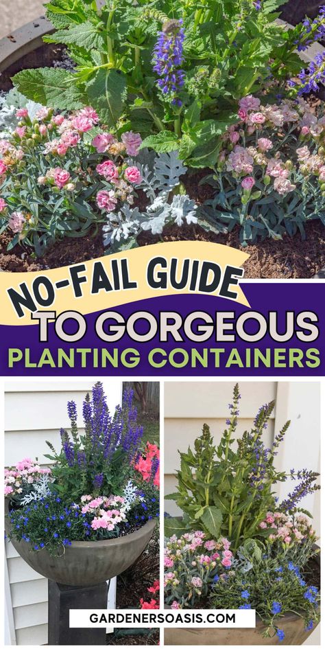 Planting Containers: The No-Fail Method For Making Beautiful Containers Using Containers In Flower Beds, Mixed Container Planting, Spiller Plants For Containers, Multiple Pots Container Garden, Mixed Houseplant Container, Fine Gardening Magazine, Vegetable Garden For Beginners, Full Sun Plants, Garden Tool Set