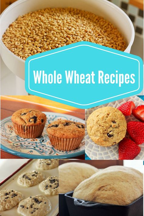 Wheat Dessert Recipes, Whole Wheat Recipes, Wheat Berry Recipes, Wheat Flour Recipes, Wheat Recipes, Buttermilk Recipes, Wheat Berries, Grain Foods, Flour Recipes