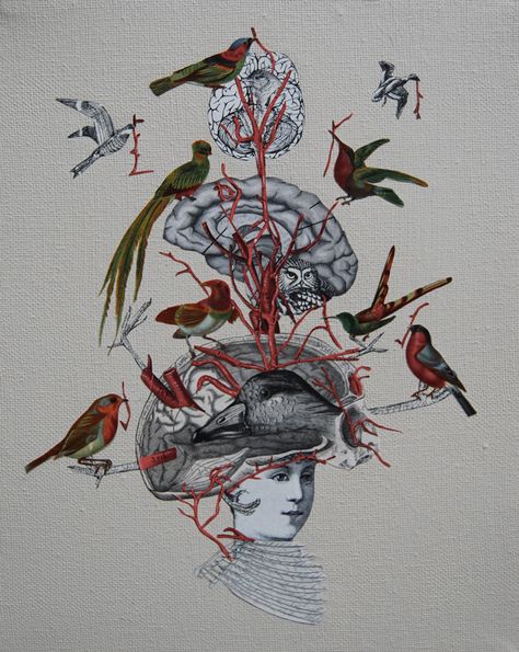 Bird Brain collage on canvas, 2015 by Katie McCann Brain Collage, Bird Eating, Bird Brain, Collage On Canvas, Career Vision Board, Collage Inspiration, Painted Canvas, Waiting Rooms, Brain