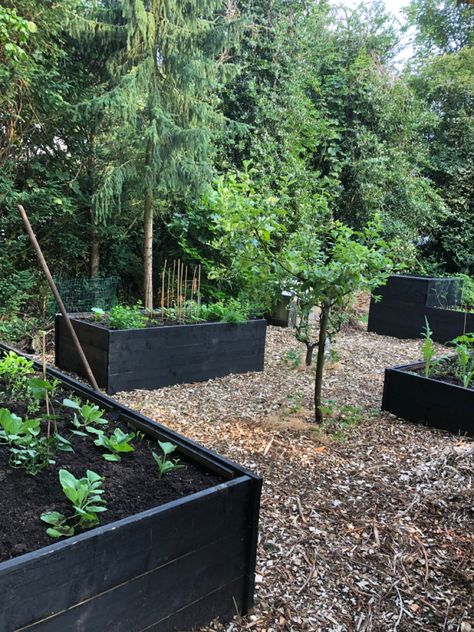 Black Garden Boxes, Vegetable And Herb Garden, Raised Veggie Gardens, Backyard Plans, Raised Planters, Sustainable House, Vegetable Planters, Backyard Plan, Vegetable Garden Planning