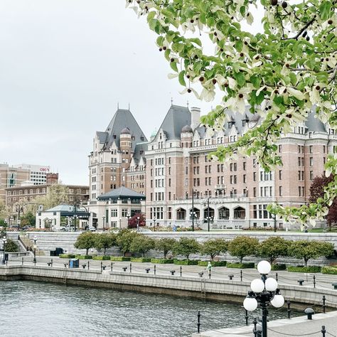 Things To Do In Victoria Bc, Vancouver Island Aesthetic, Victoria Aesthetic, Fraiche Living, Victoria Vancouver Island, Victoria Bc Canada, Victoria Canada, Victoria British Columbia, Luxury Boutique Hotel