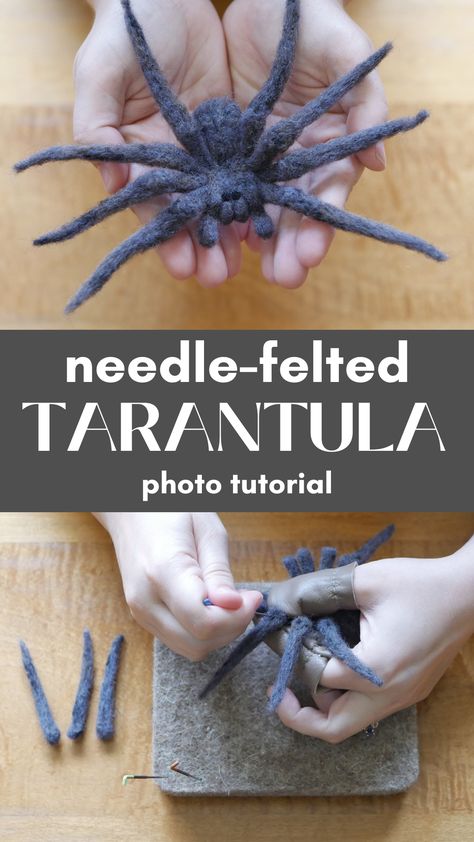 top image shows a pair of white hands holding a wool tarantula. Bottom image shows a pair of white hands attaching spider legs to a wool spider with felting needles. White text between images reads needle-felted tarantula photo tutorial. Felted Spider, Needle Felting Diy Tutorials, Diy Halloween Spider, Halloween Creatures, Christmas Spider, Needle Felting Diy, Needle Felting Tutorials, Felt Halloween, Needle Felting Projects